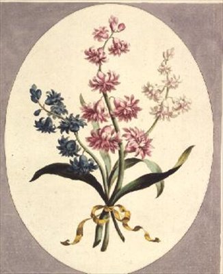 Jacinthes orientales - John Edwards