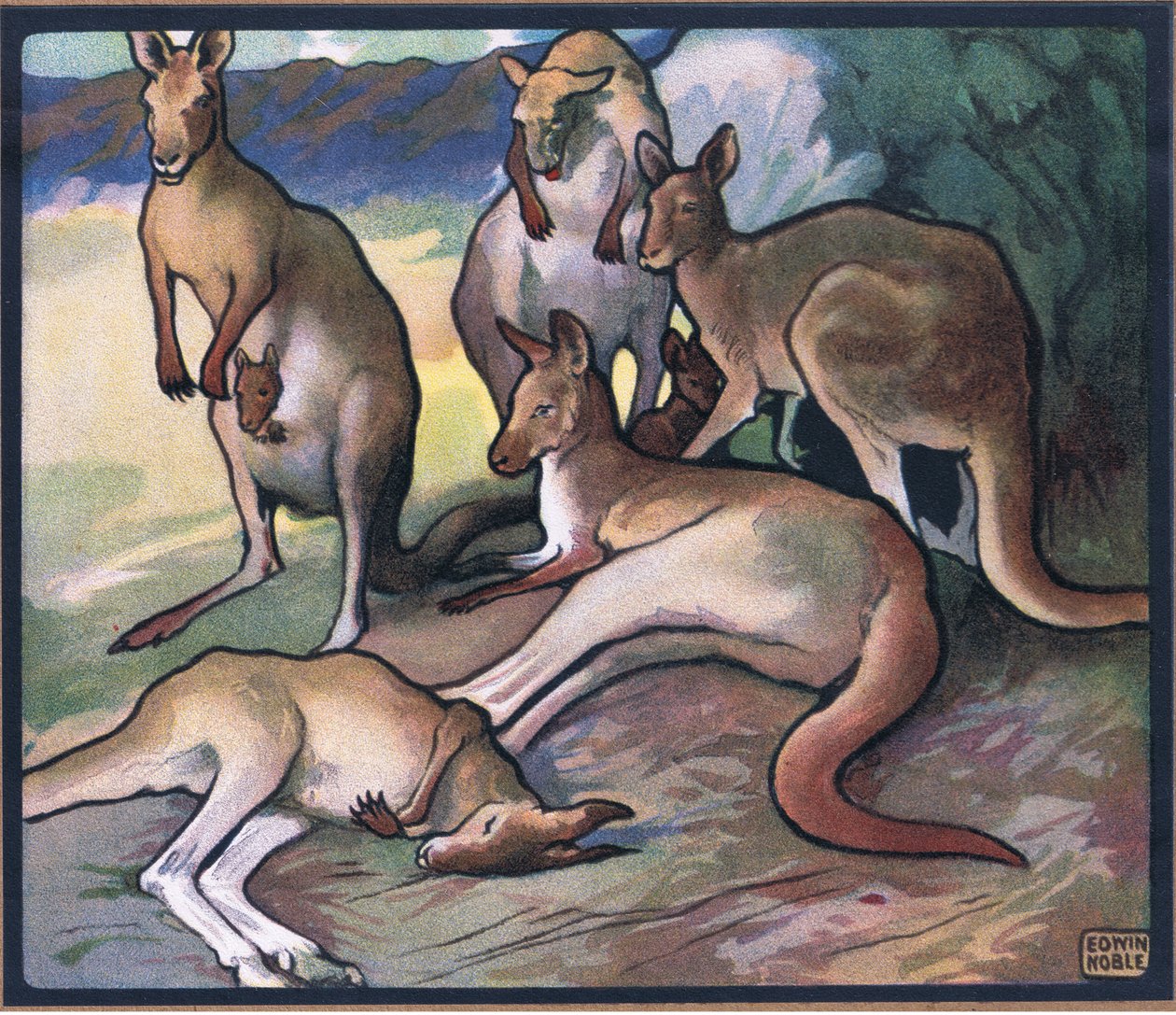 Kangourous - John Edwin Noble