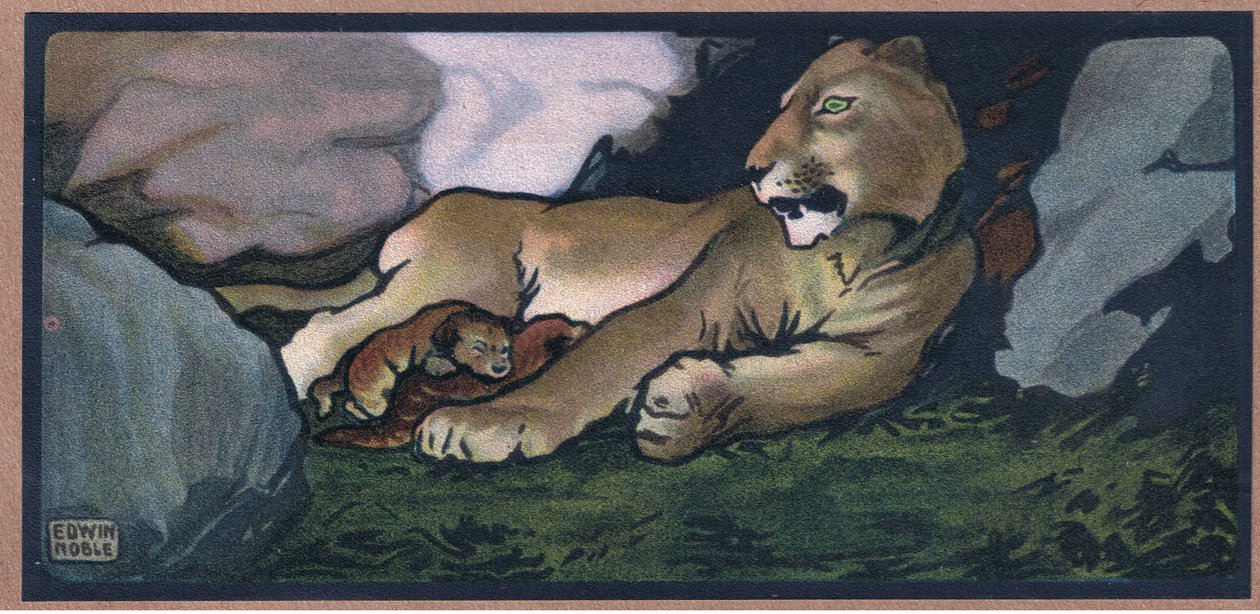 Lion avec ses petits - John Edwin Noble