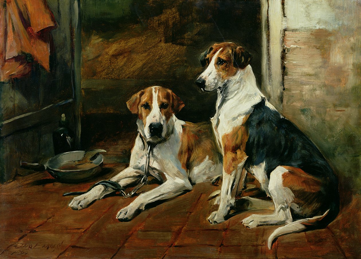 Chiens dans un intérieur d