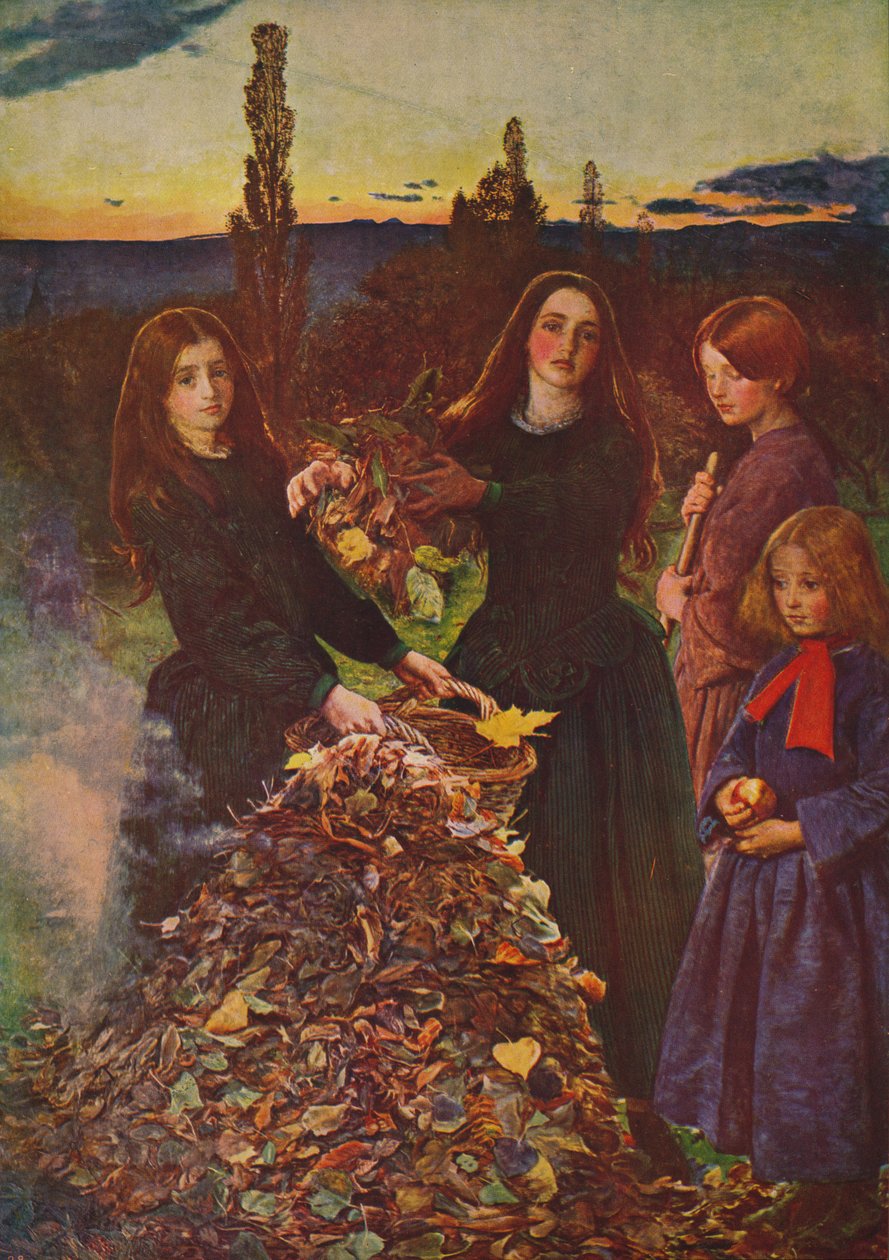 Feuilles d