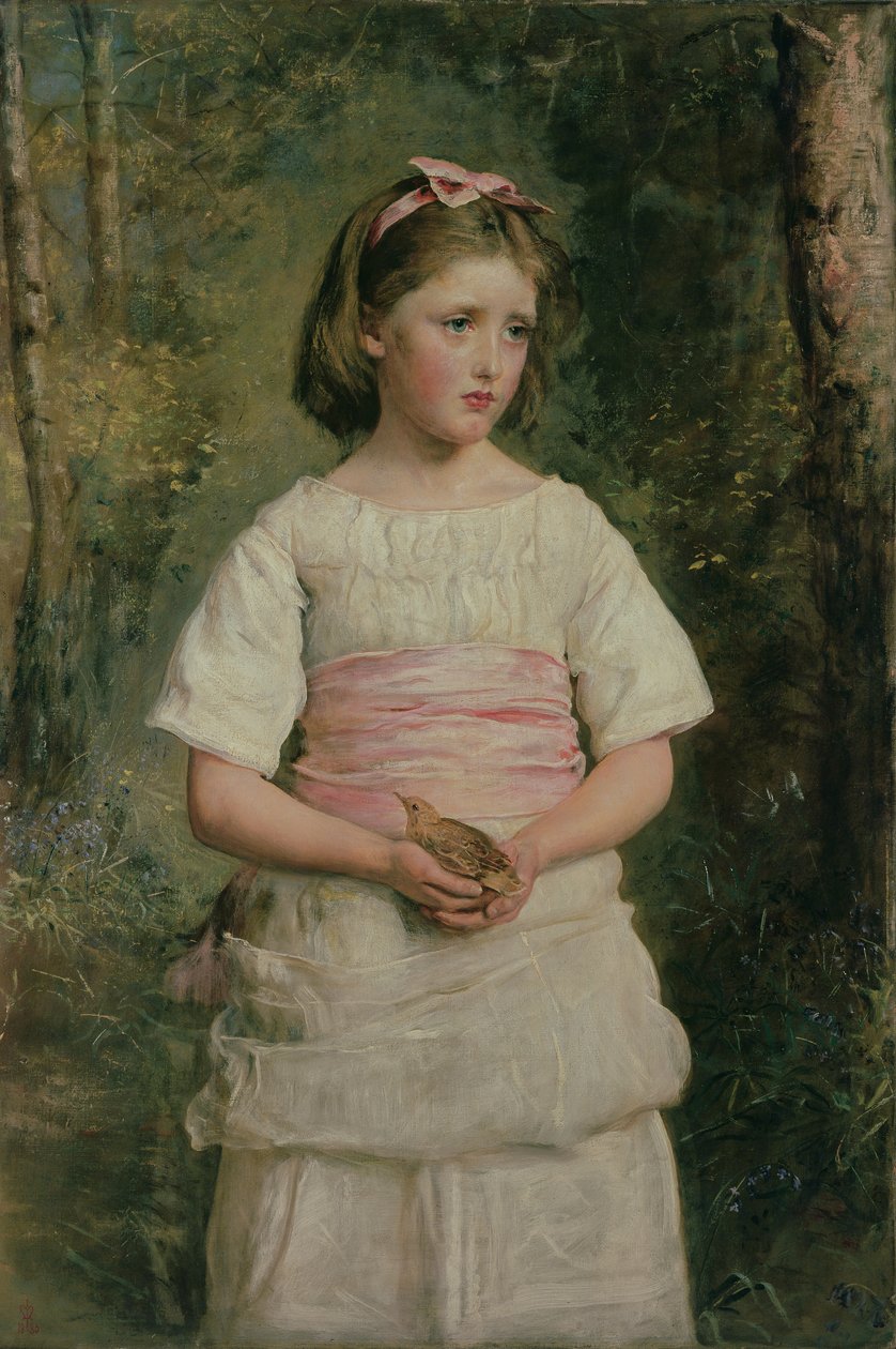 Tombé du nid - John Everett Millais