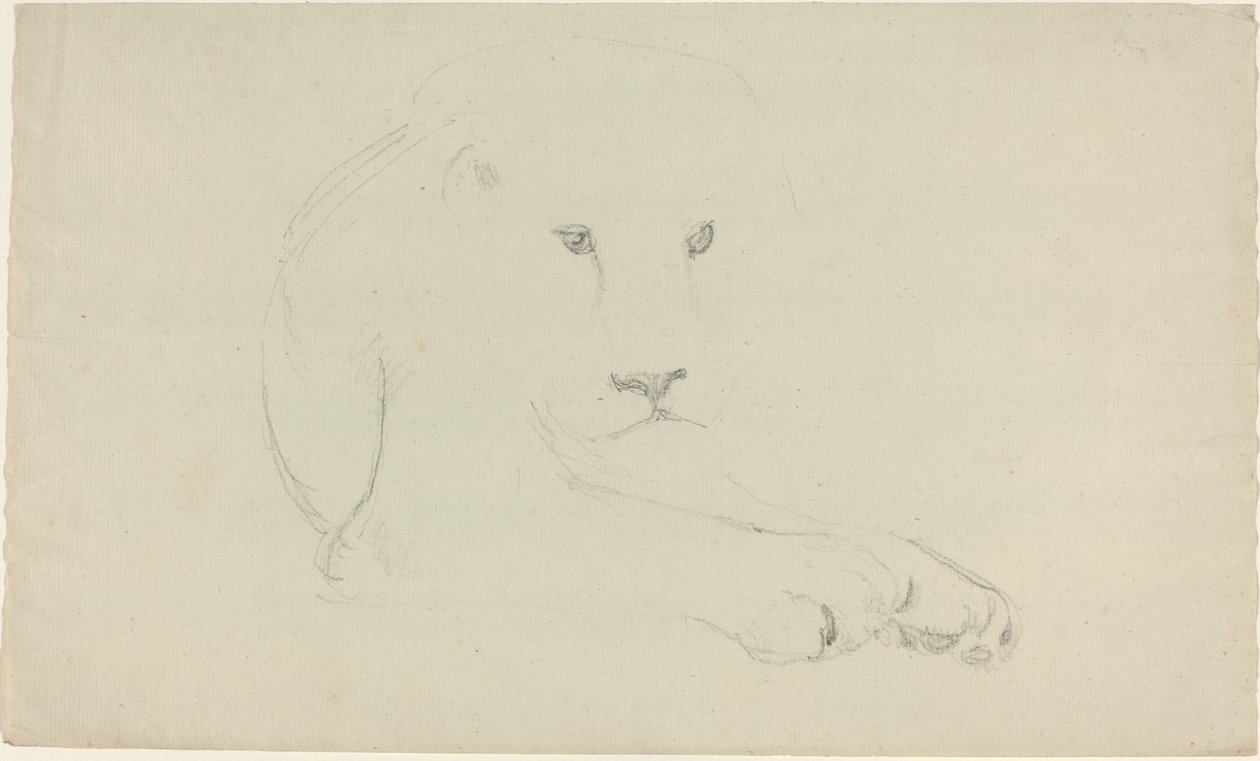 Lion - John Flaxman