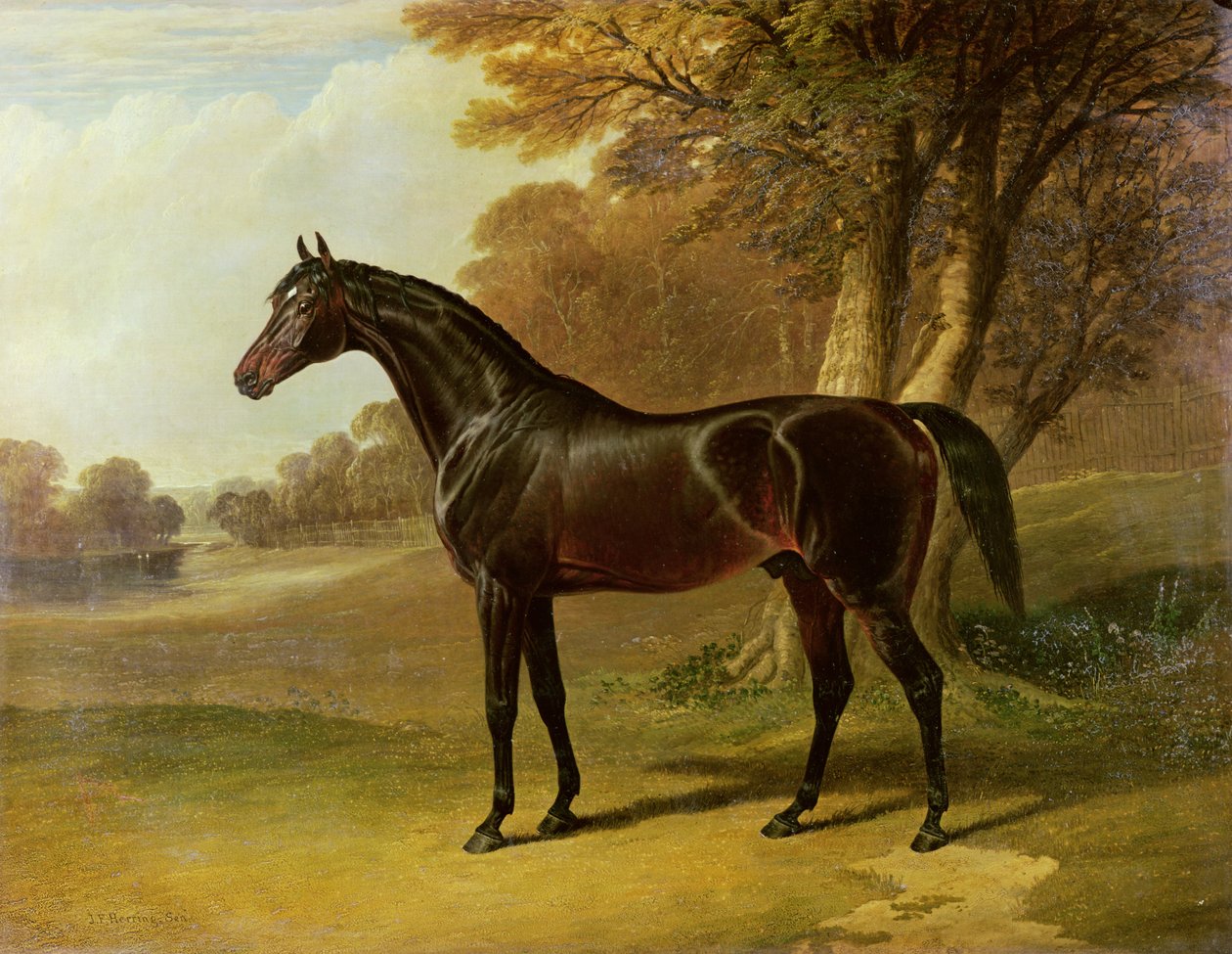 "Glaucus" - John Frederick Herring Senior