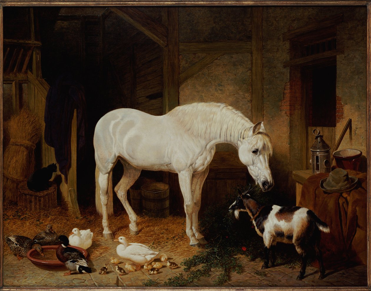 Compagnons d