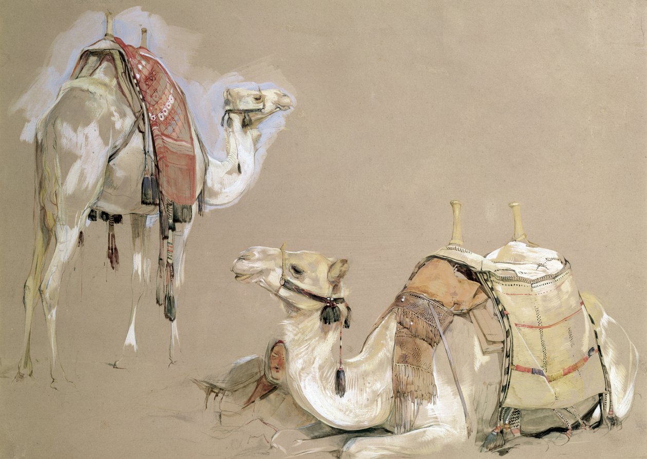 Études de Chameaux - John Frederick Lewis