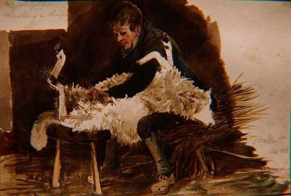 Le major Gilpin tondant un mouton - John Harden