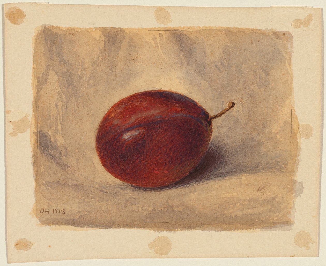 Prune - John Henry Hill