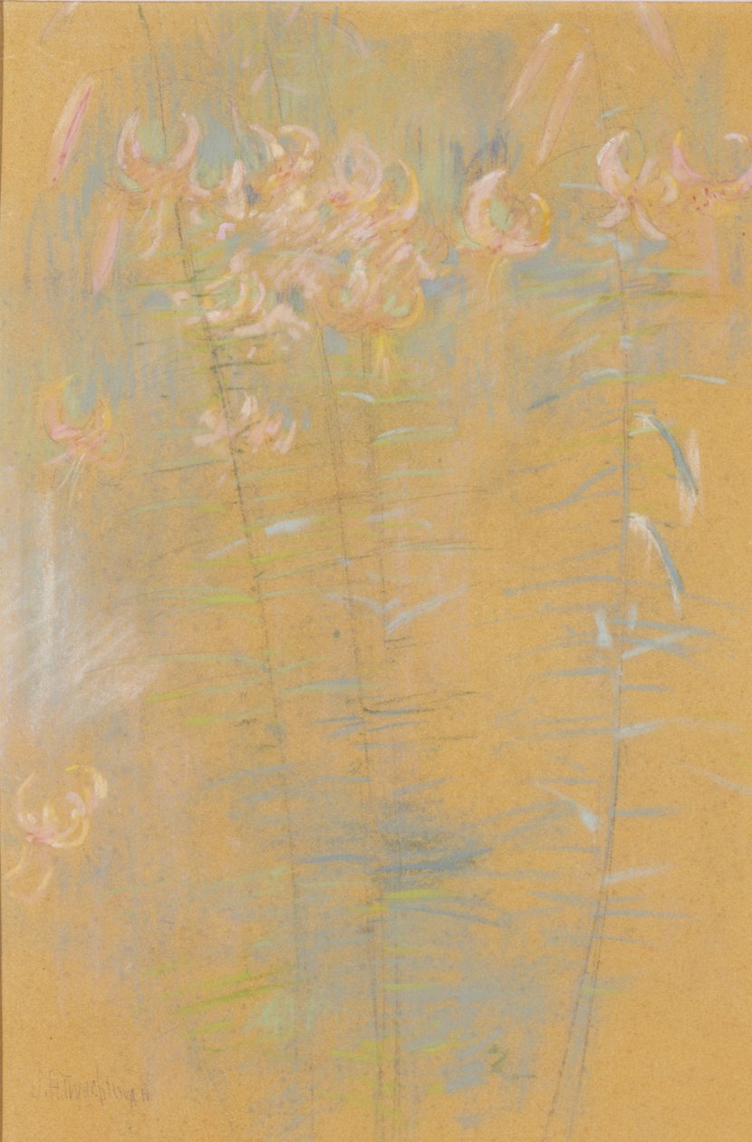 Lys tigré - John Henry Twachtman