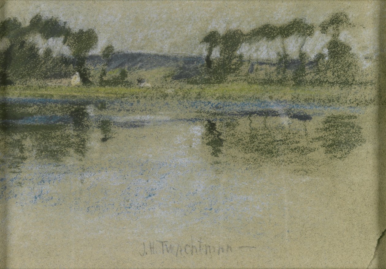 Arbres de l