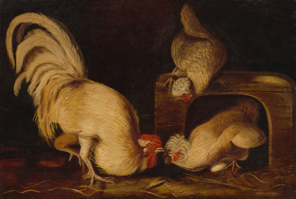Volaille de basse-cour, vers 1827 - John James Audubon