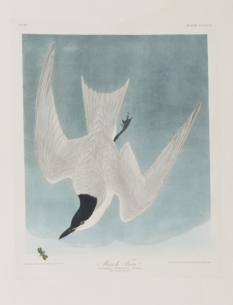 Illustration de 