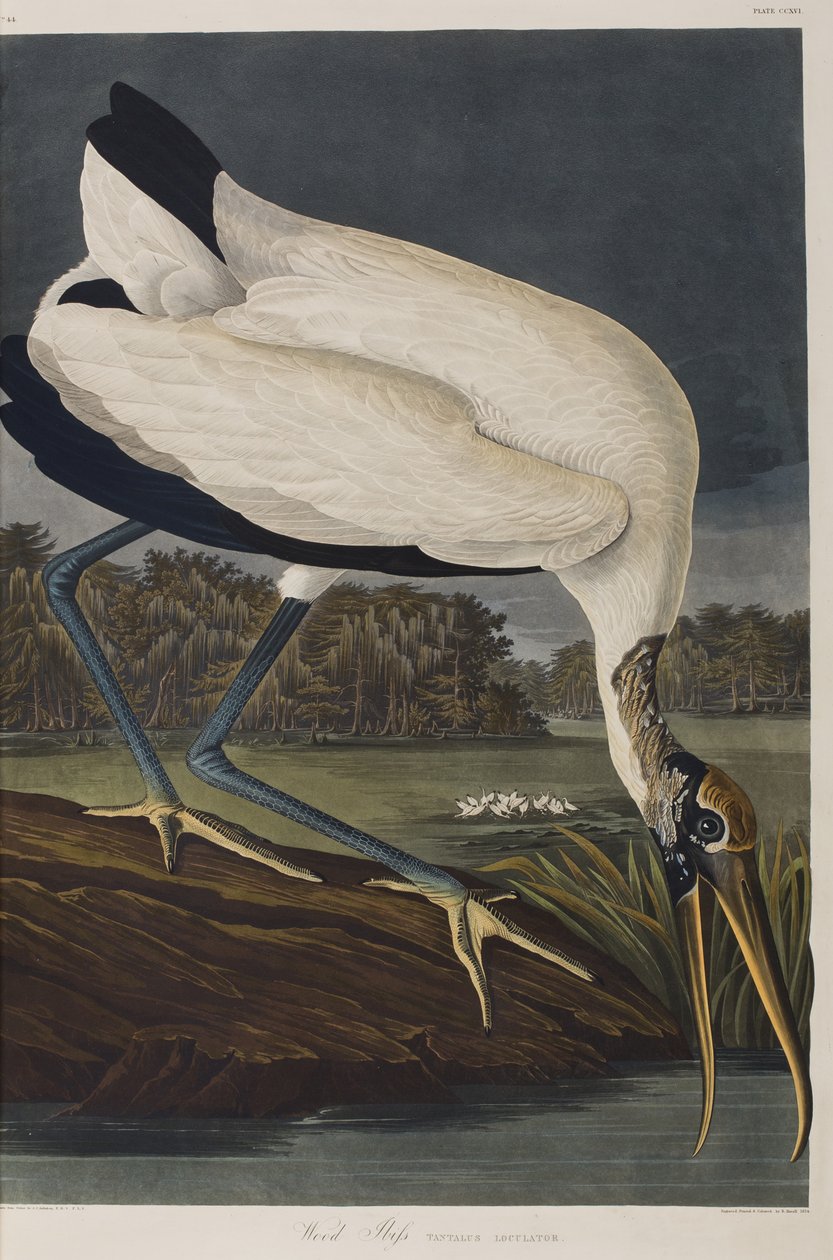 Illustration de 