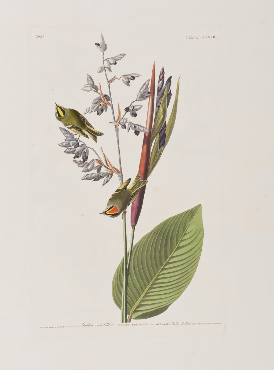 Illustration de 
