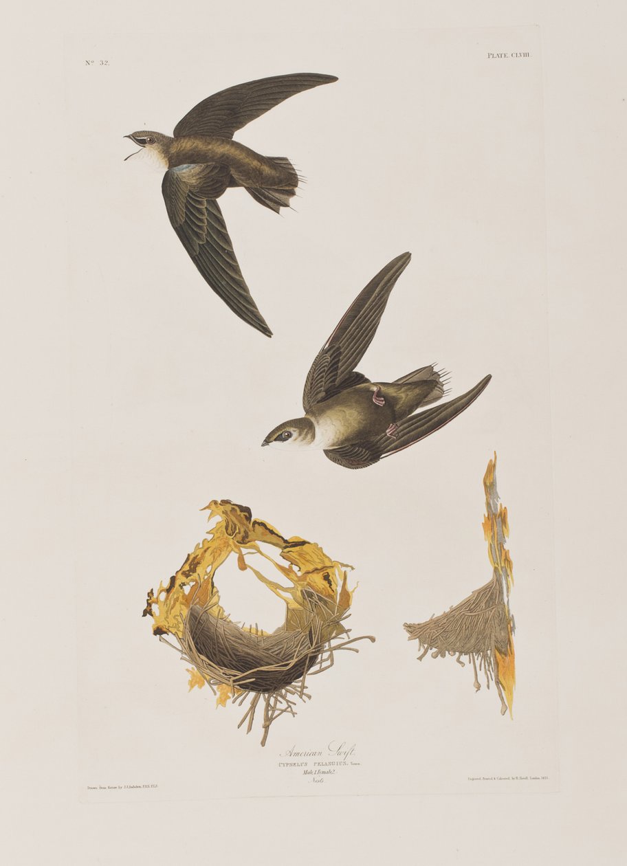 Illustration de 