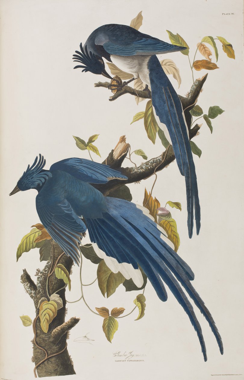 Illustration de 