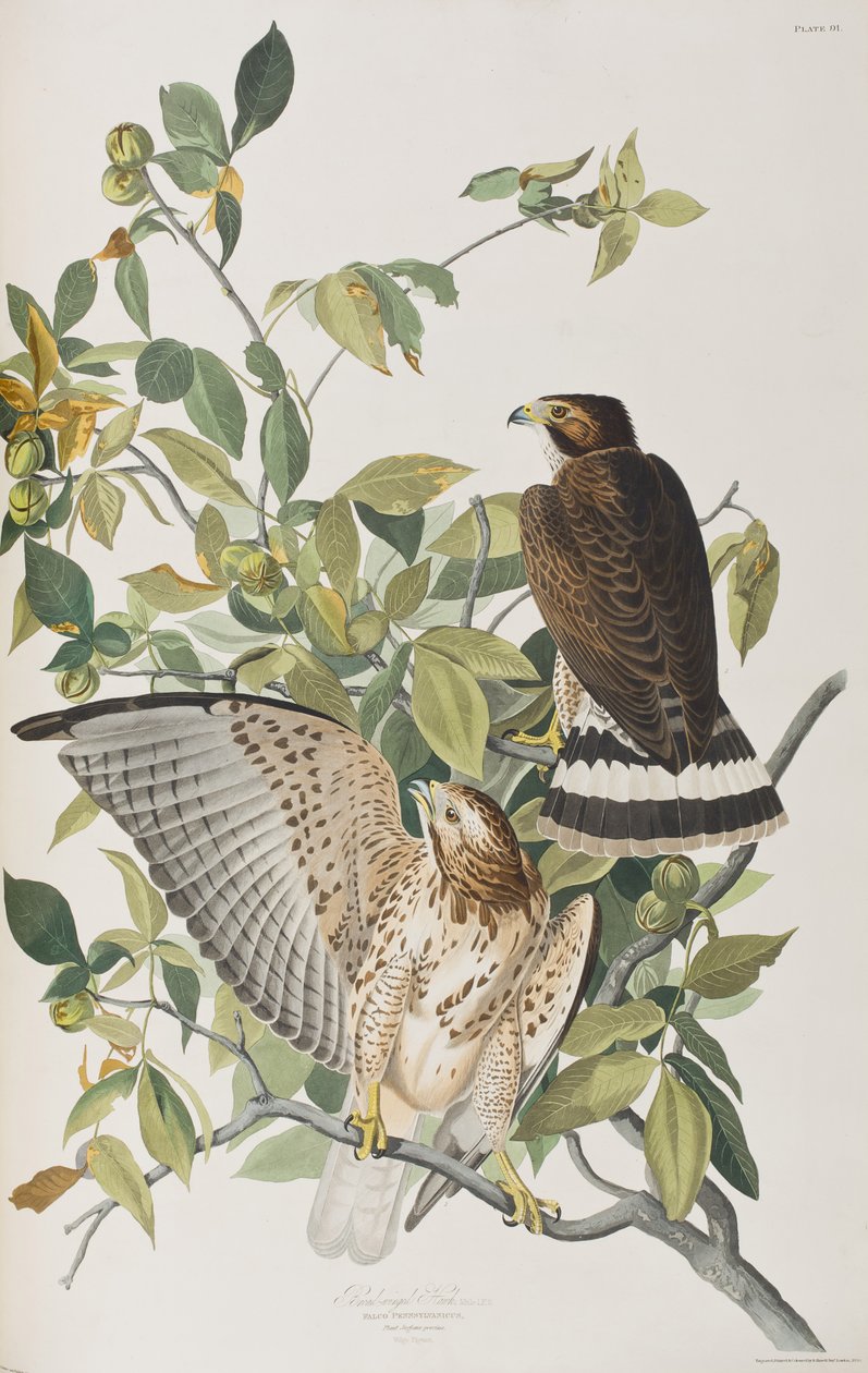Illustration de 