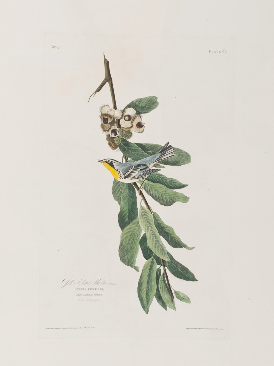 Illustration de 