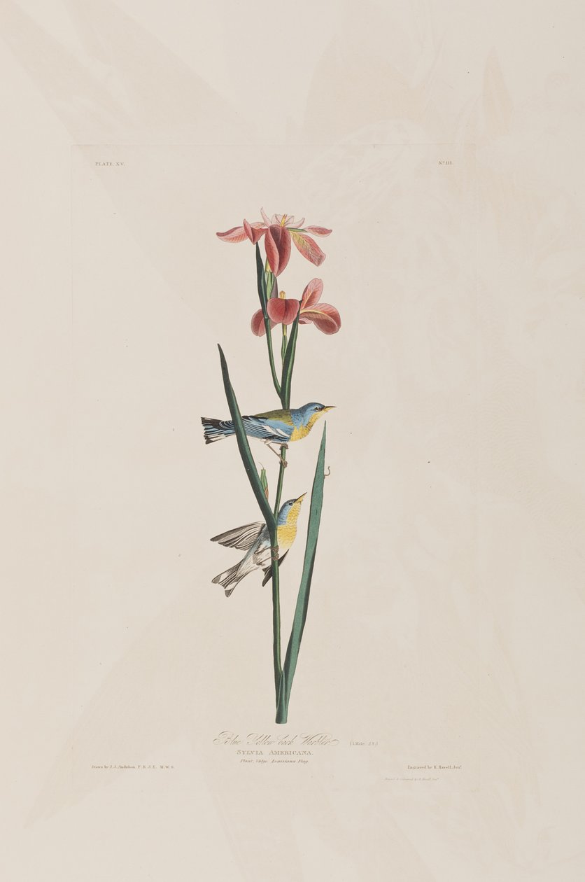 Illustration de 