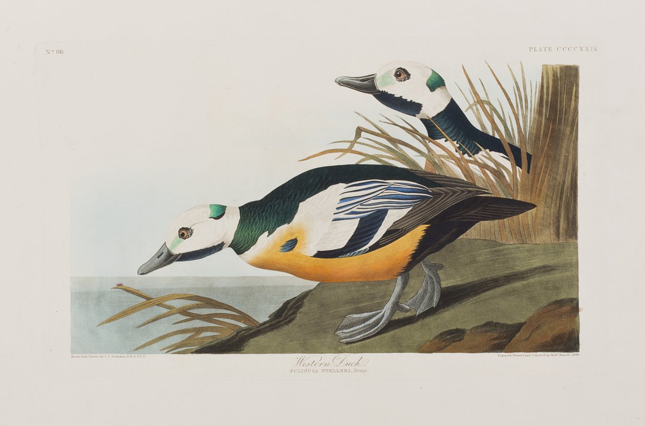 Illustration de 