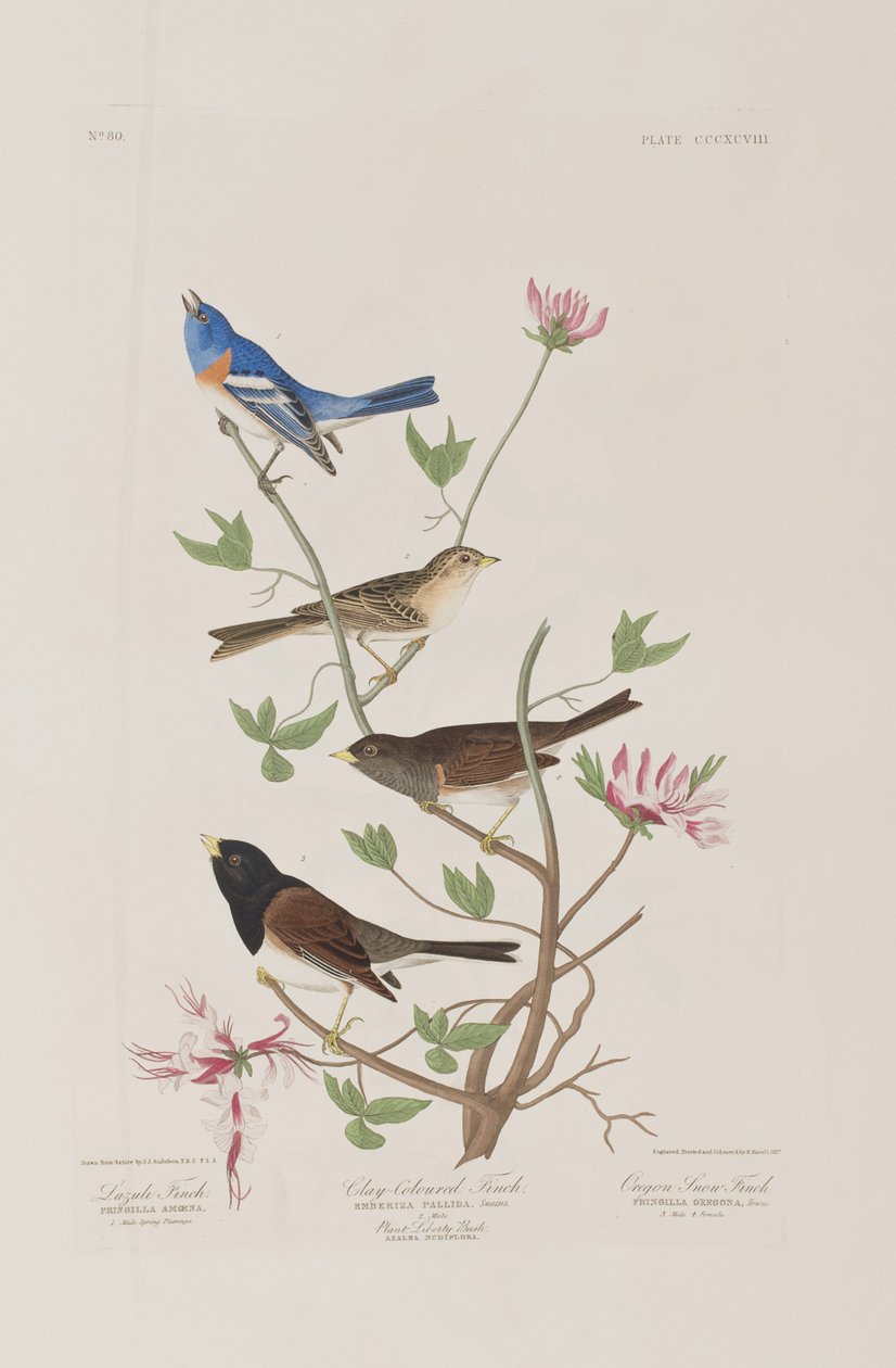 Illustration de 