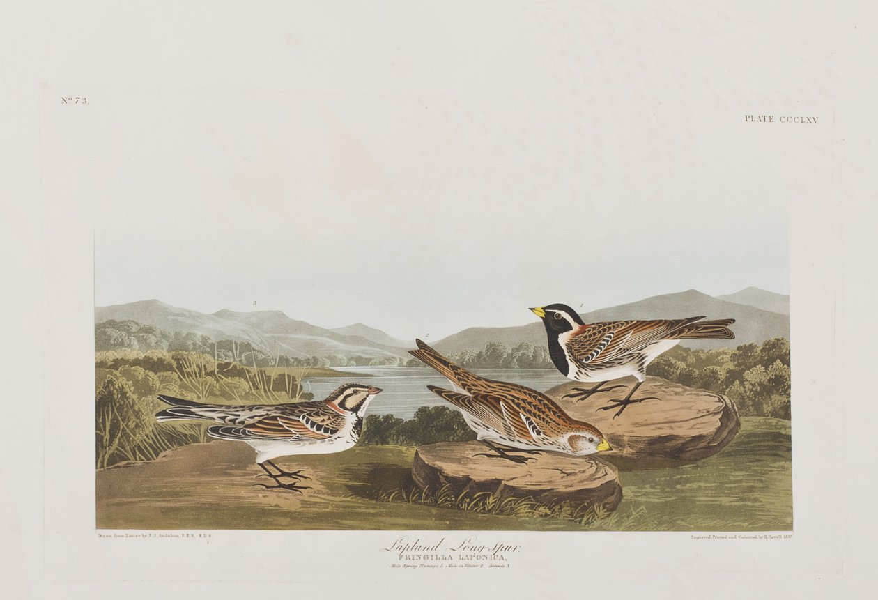 Illustration de 