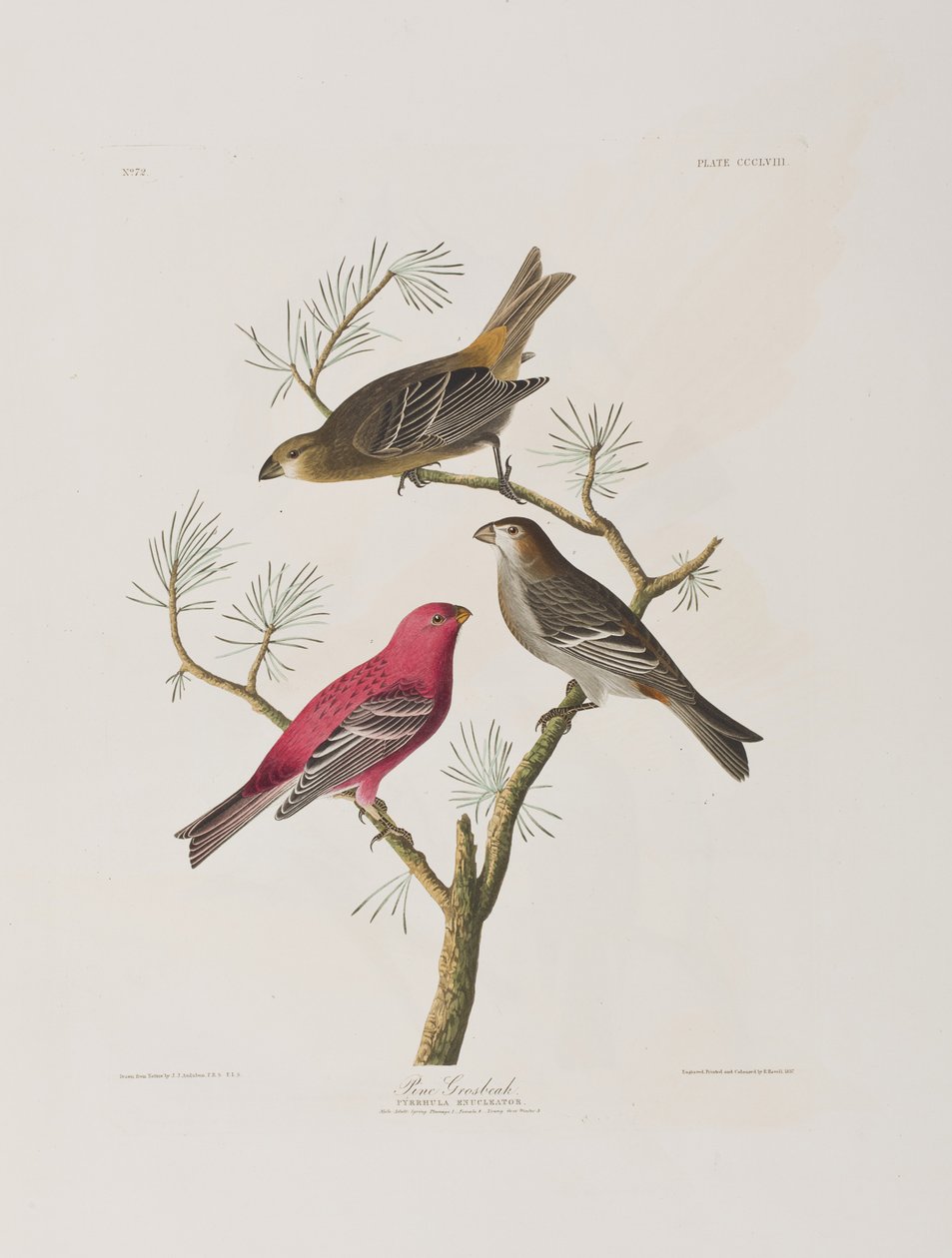 Illustration de 