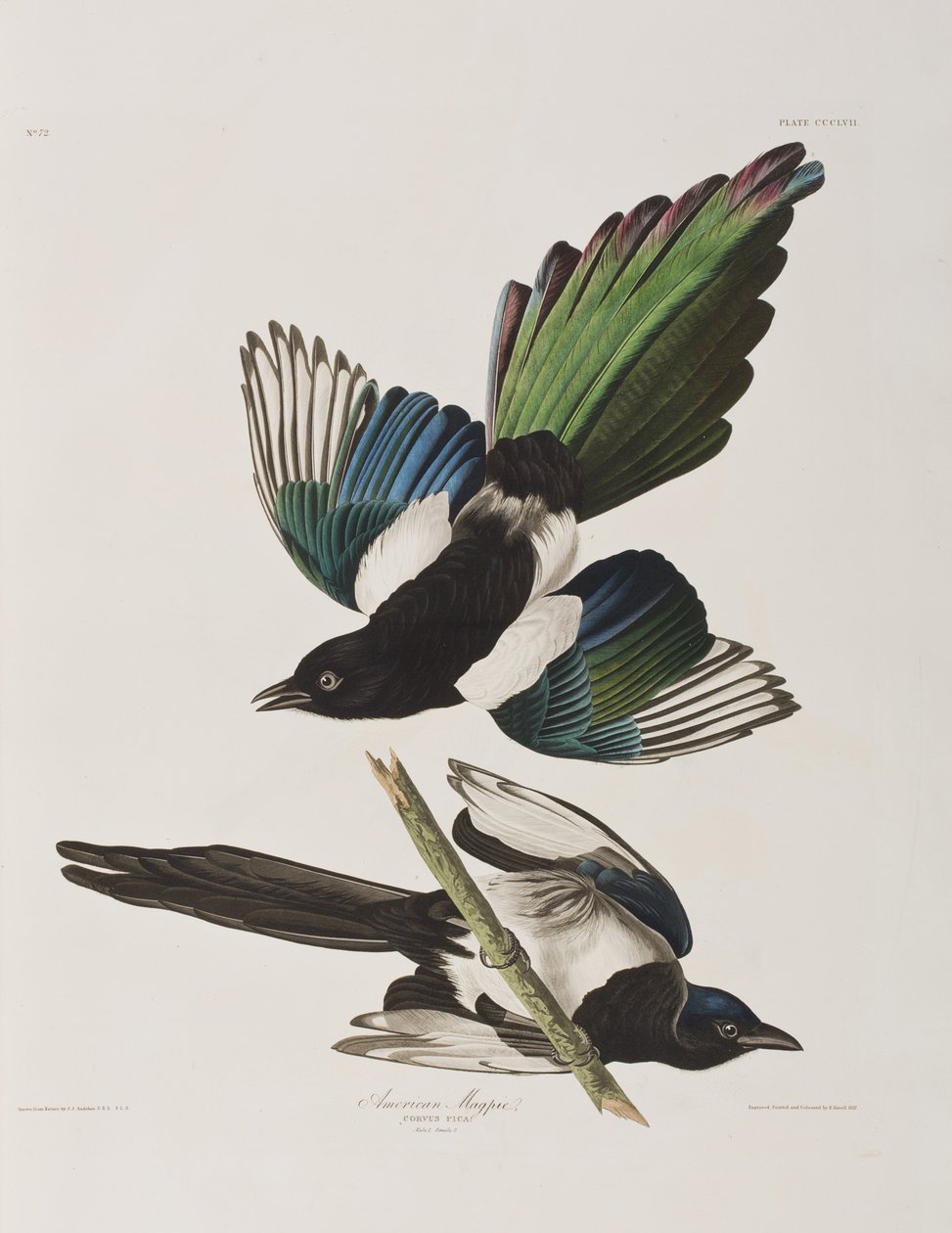 Illustration de 
