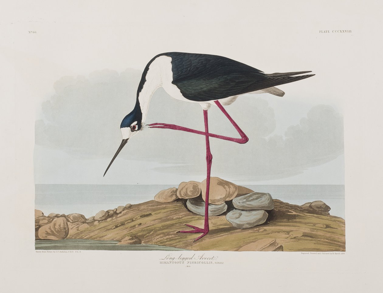 Illustration de 