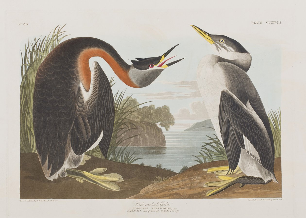 Illustration de 