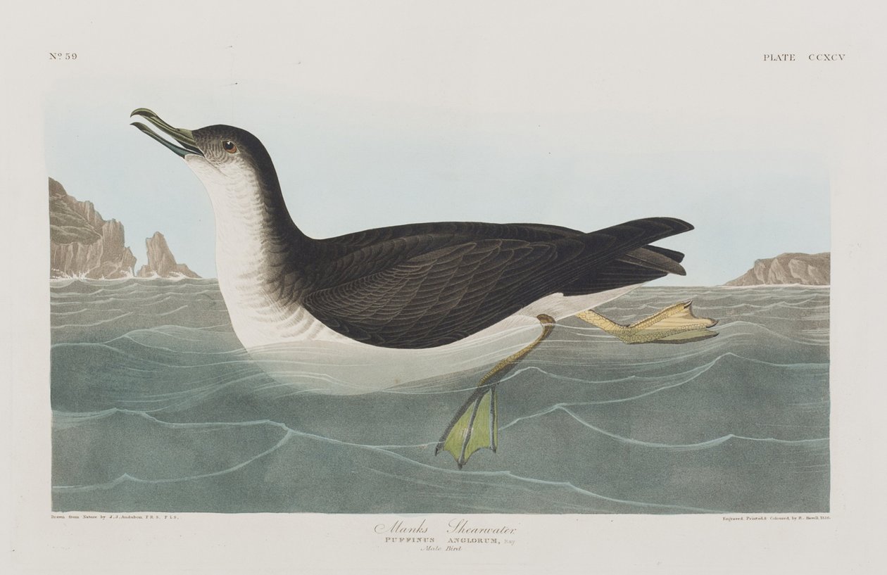 Illustration de 