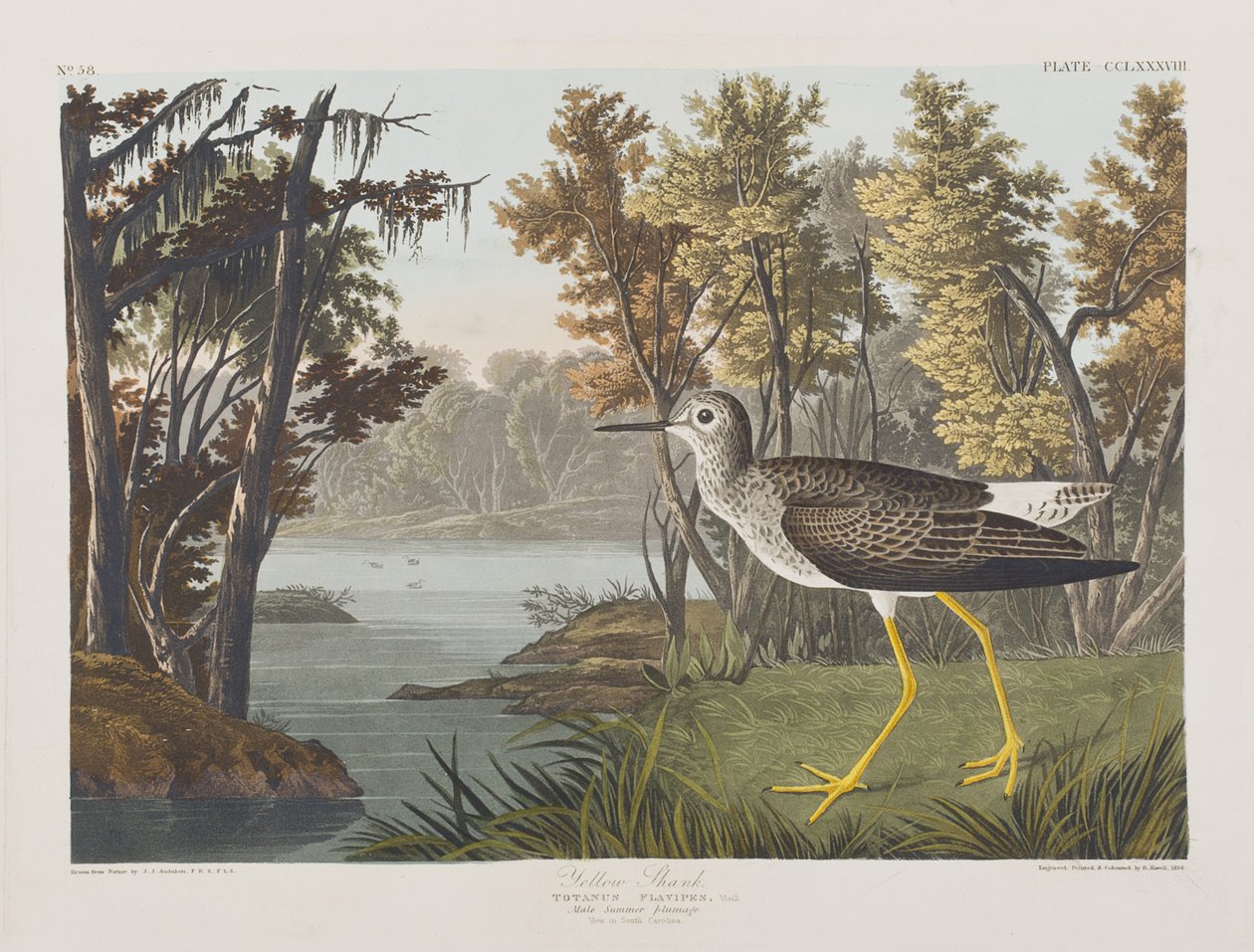 Illustration de 