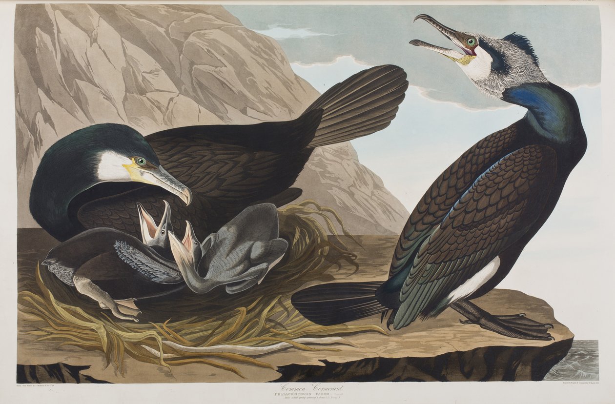 Illustration de 