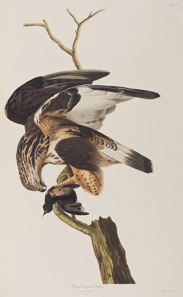 Illustration de 