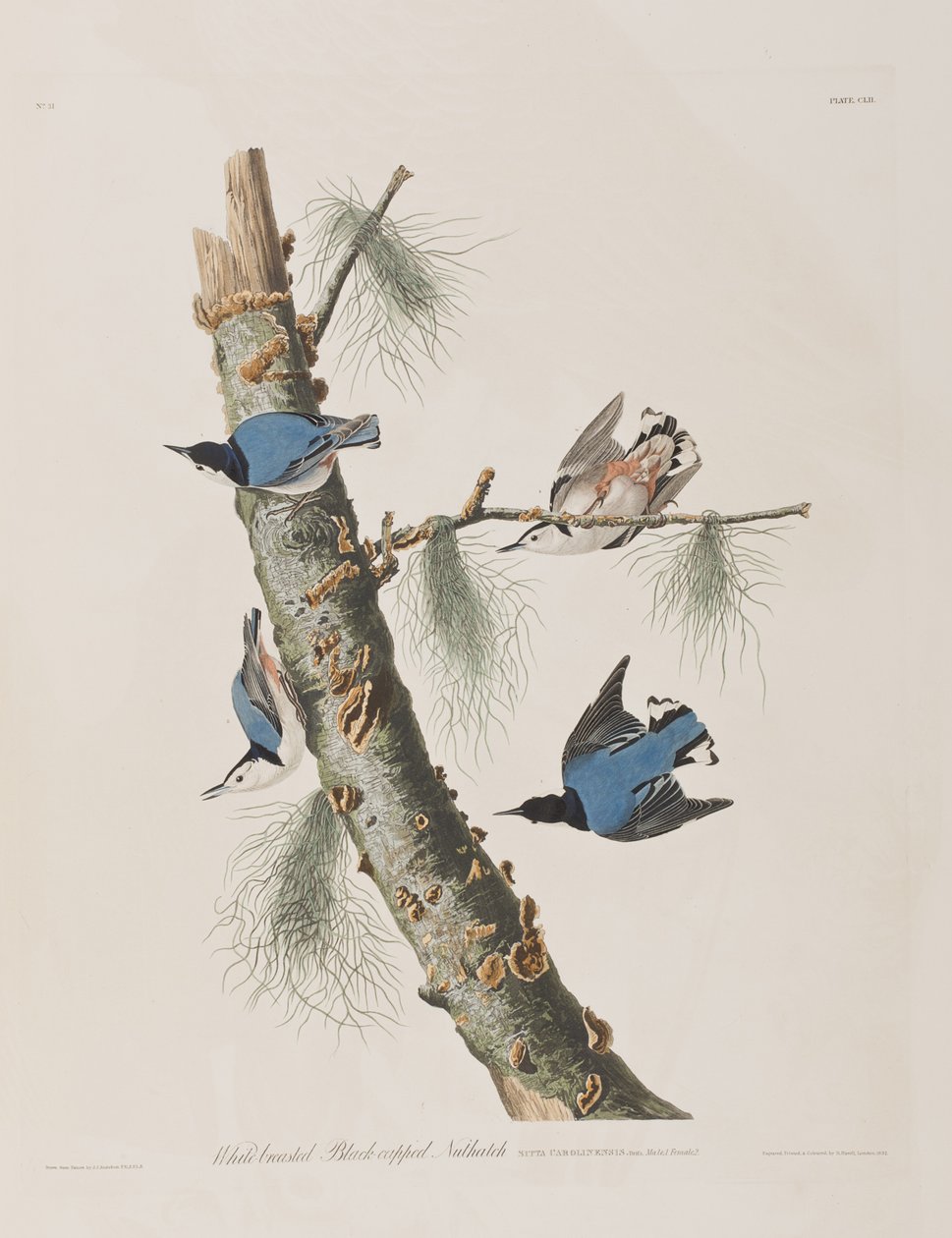 Illustration de 