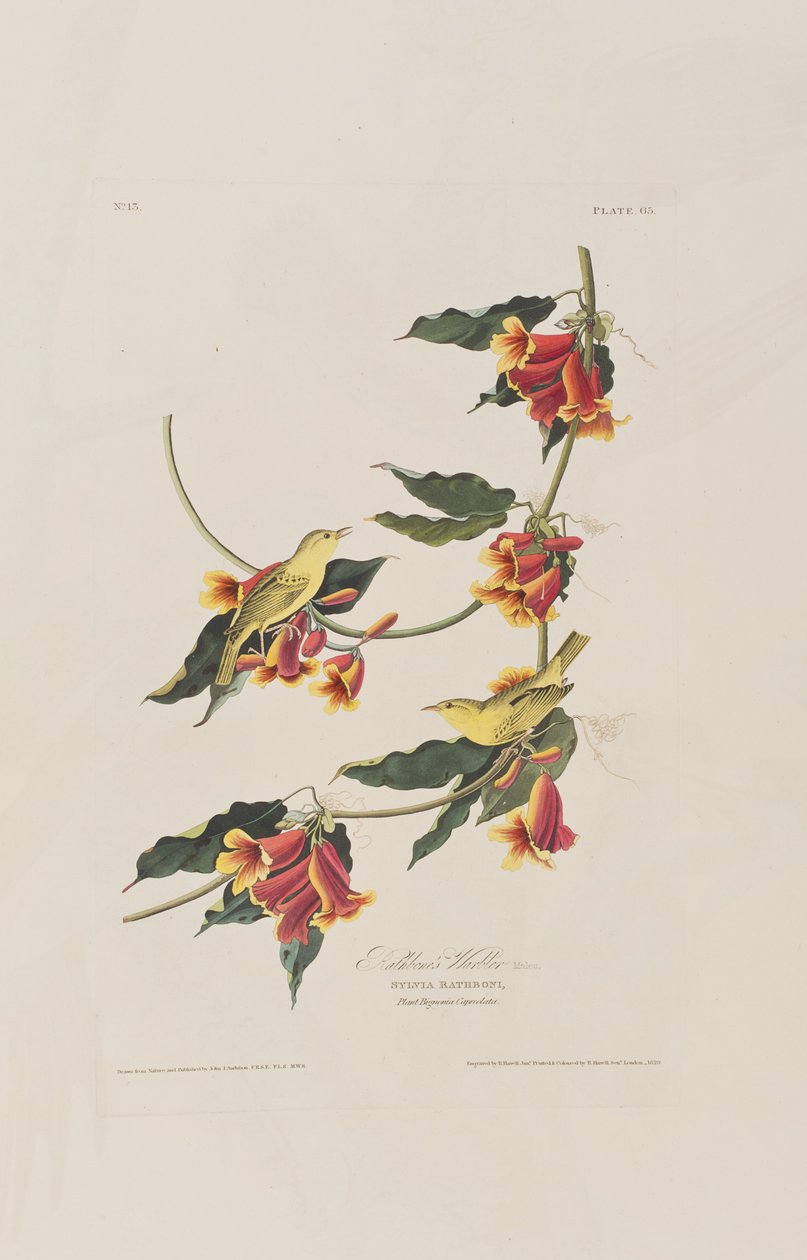 Illustration de 