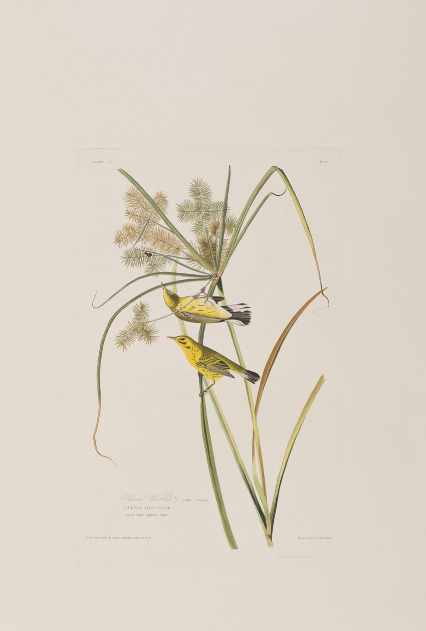 Illustration de 