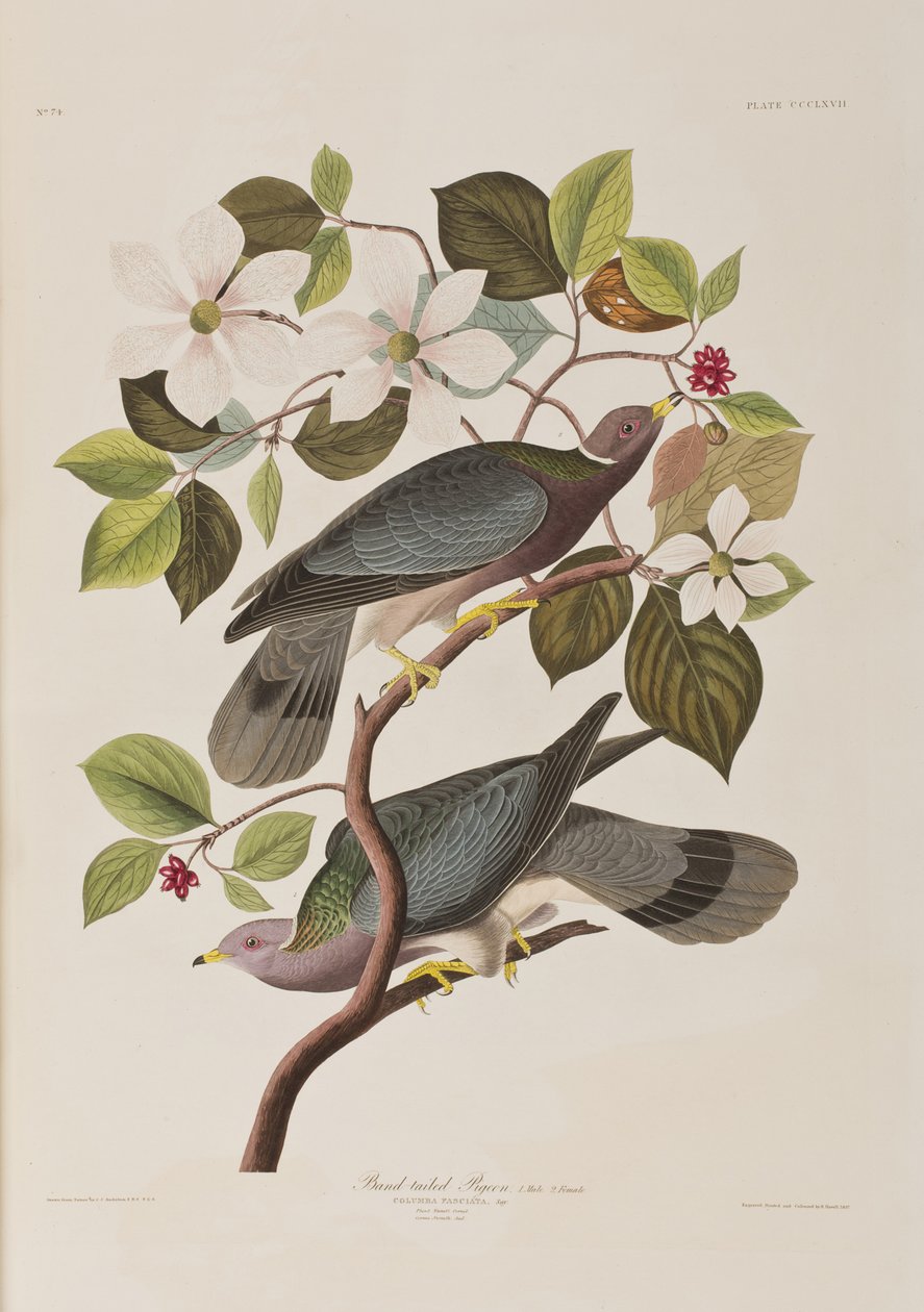 Illustration de 