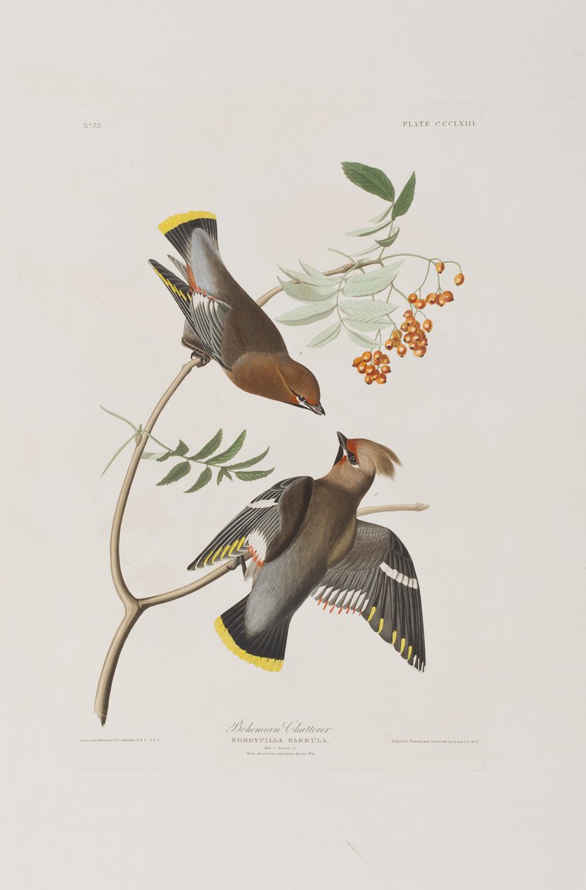 Illustration de 