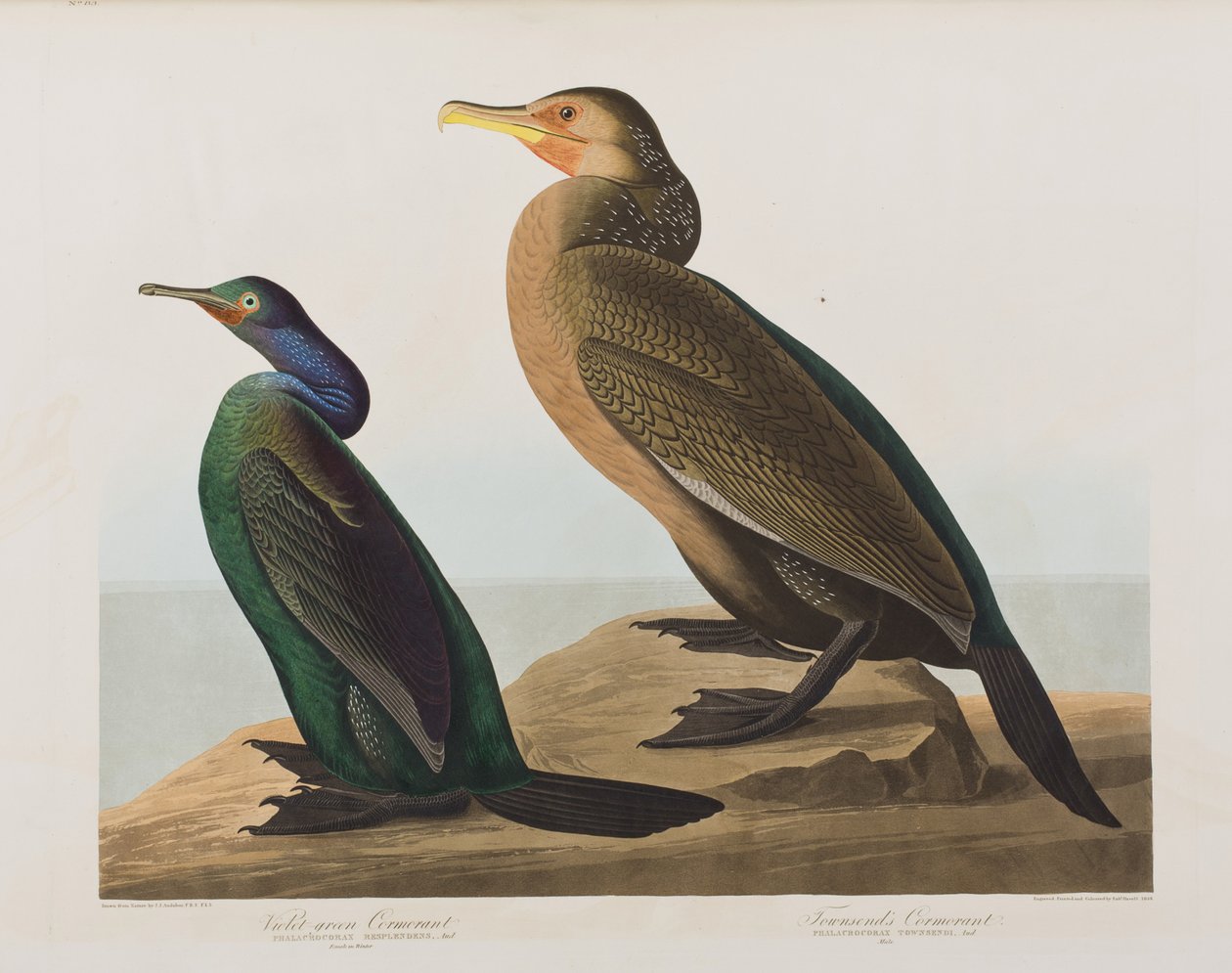 Illustration de 