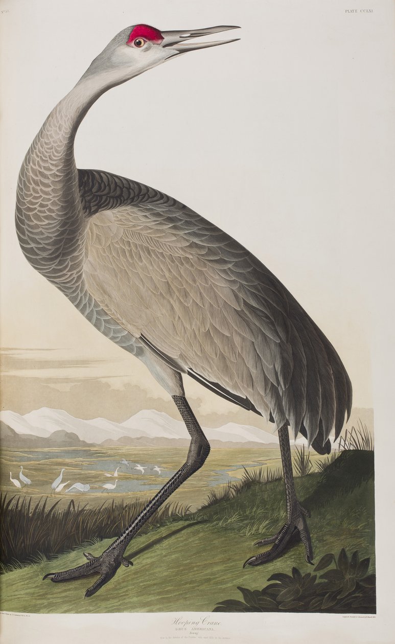 Illustration de 