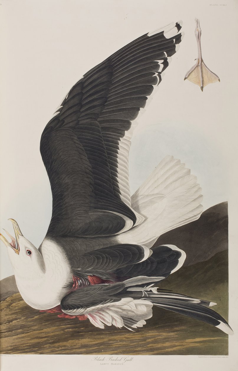 Illustration de 