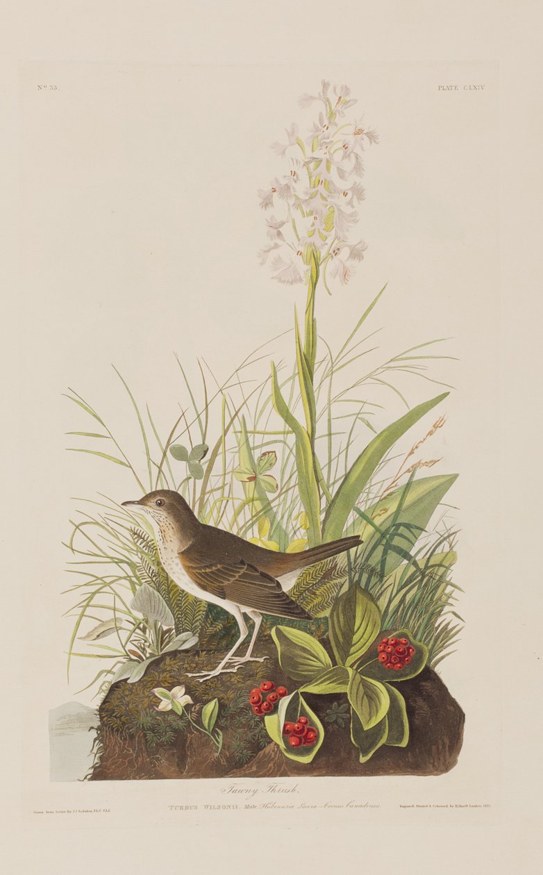 Illustration de 
