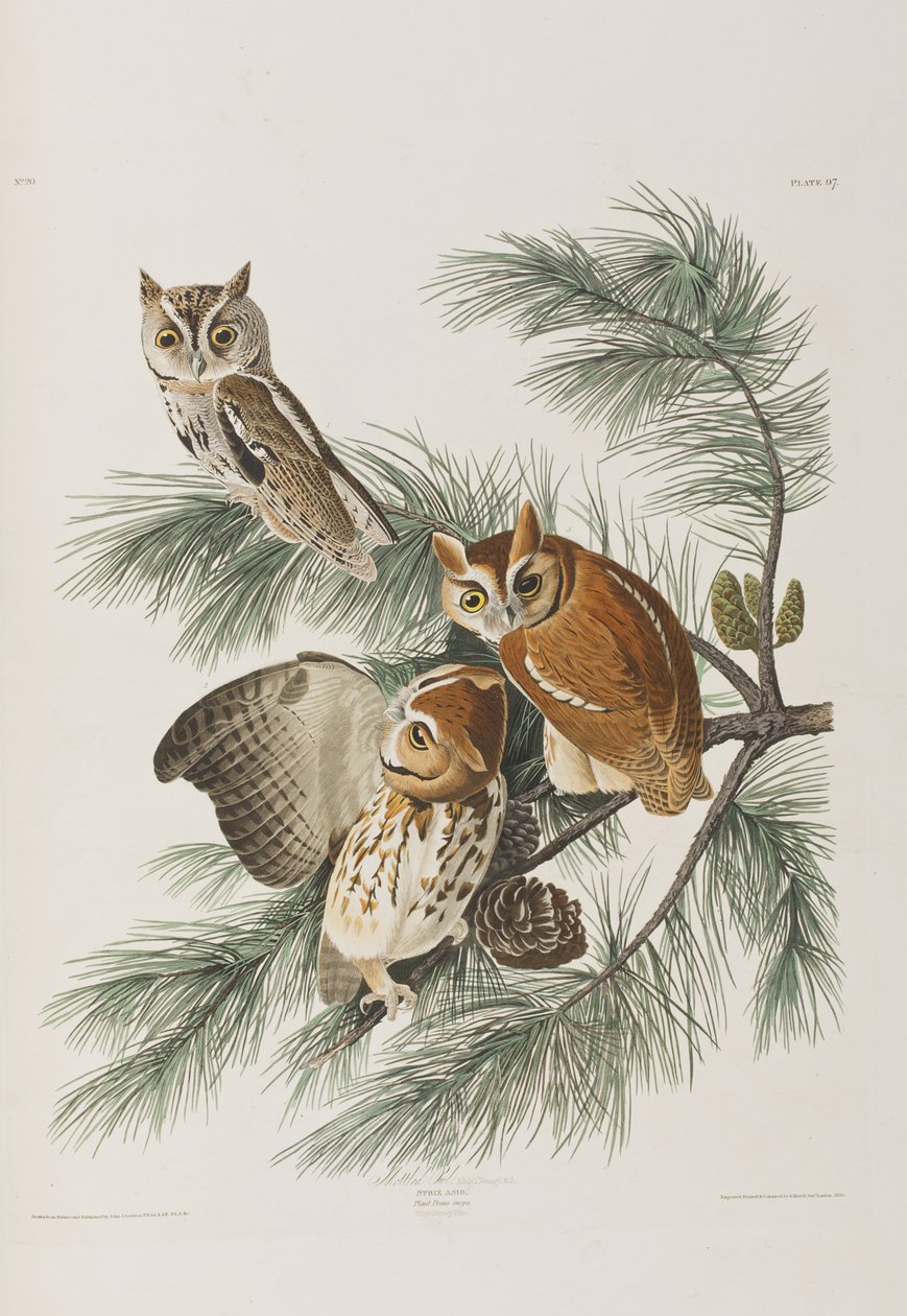 Illustration de 