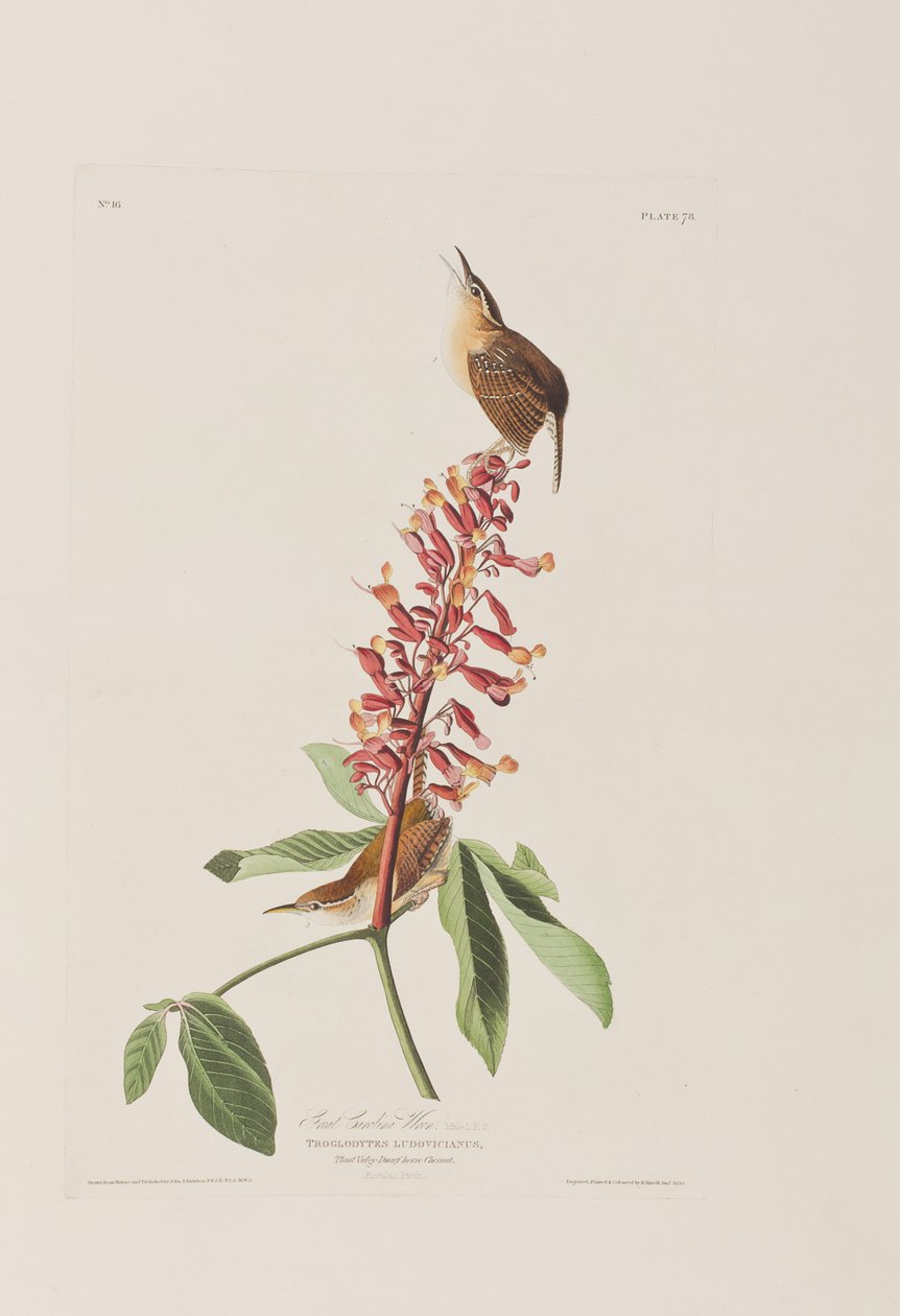 Illustration de 
