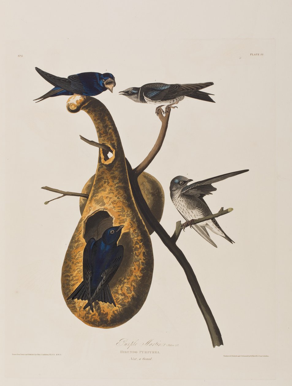 Illustration de 
