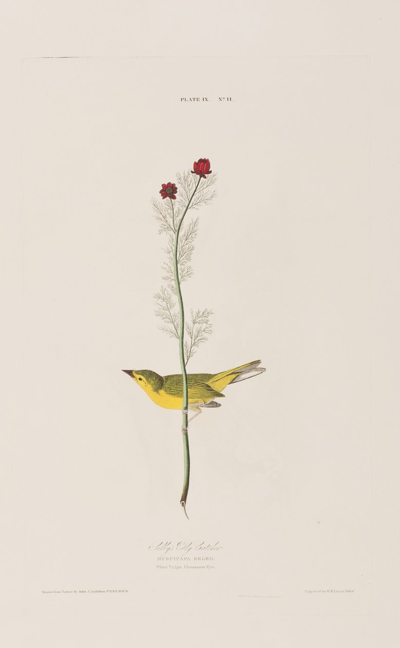 Illustration de 