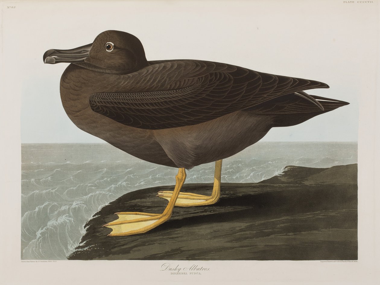 Illustration de 