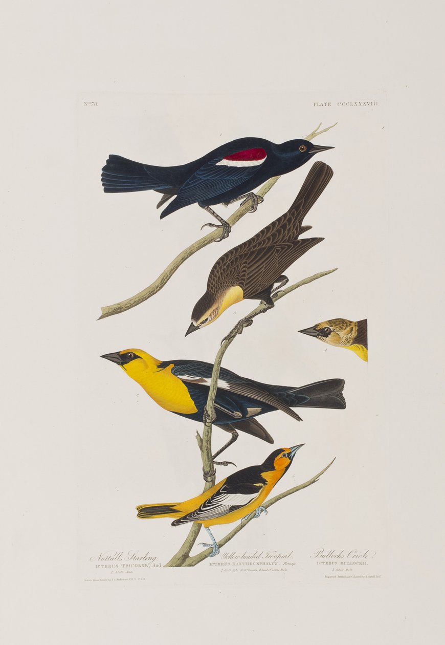 Illustration de 