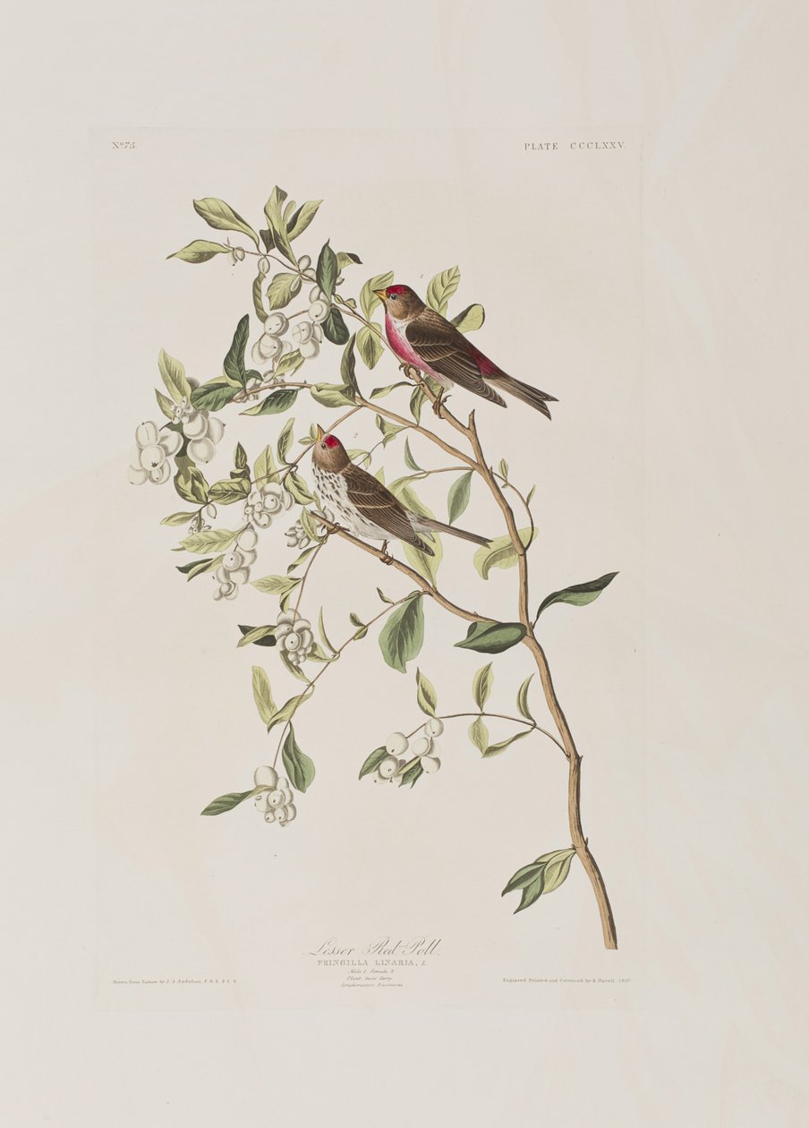 Illustration de 